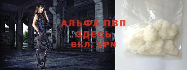 мет Алексин