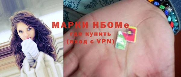 мет Алексин