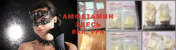 мет Алексин