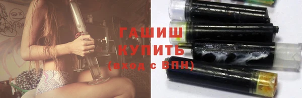 мдпв Туринск