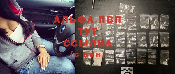 мет Алексин