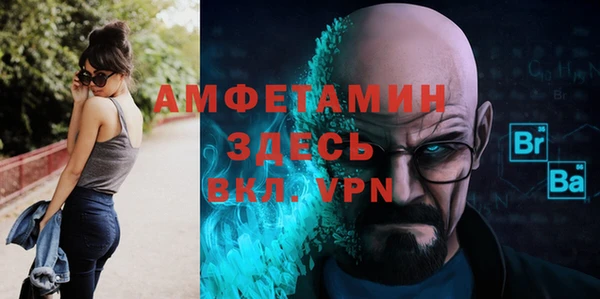 мет Алексин