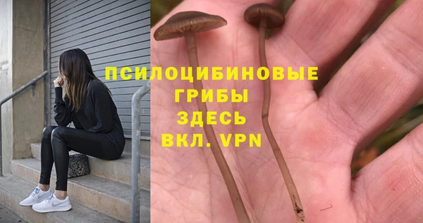 хмурый Абаза