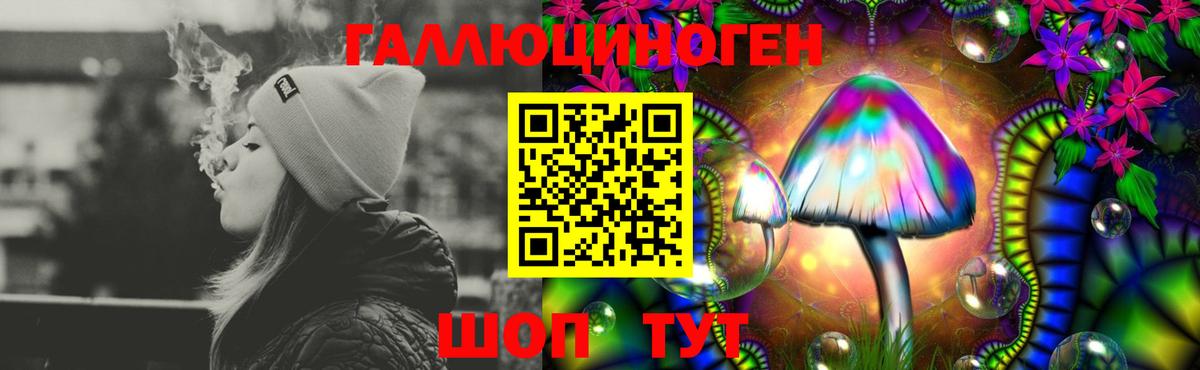 Псилоцибиновые грибы Psilocybine cubensis Ухта